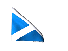Scottish Flag Picture from Vertical Blind Spares website
